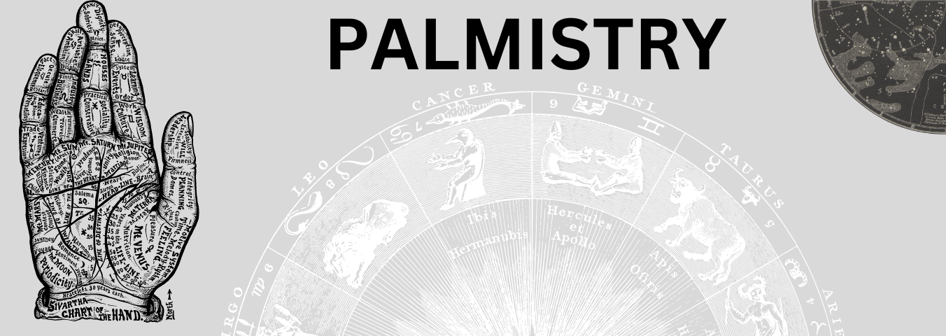 best palmistry courses in Uttam Nagar, Delhi